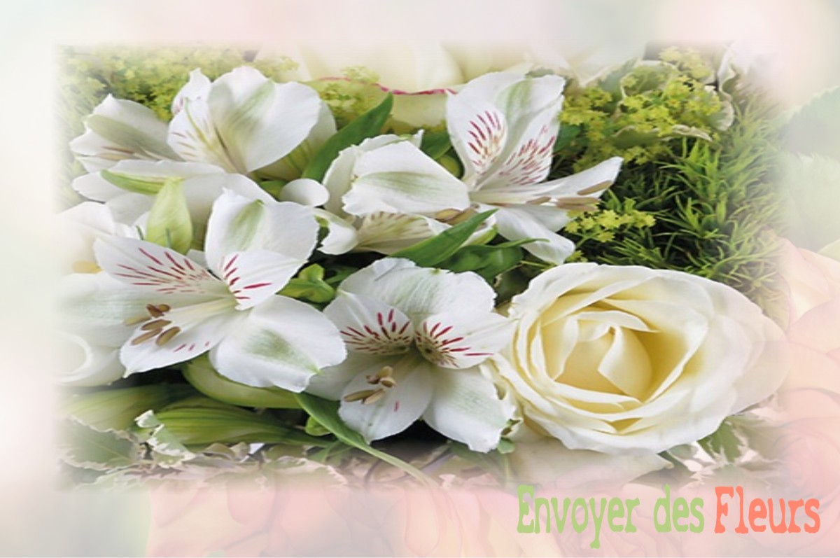 envoyer des fleurs à à VENDEUVRE-DU-POITOU